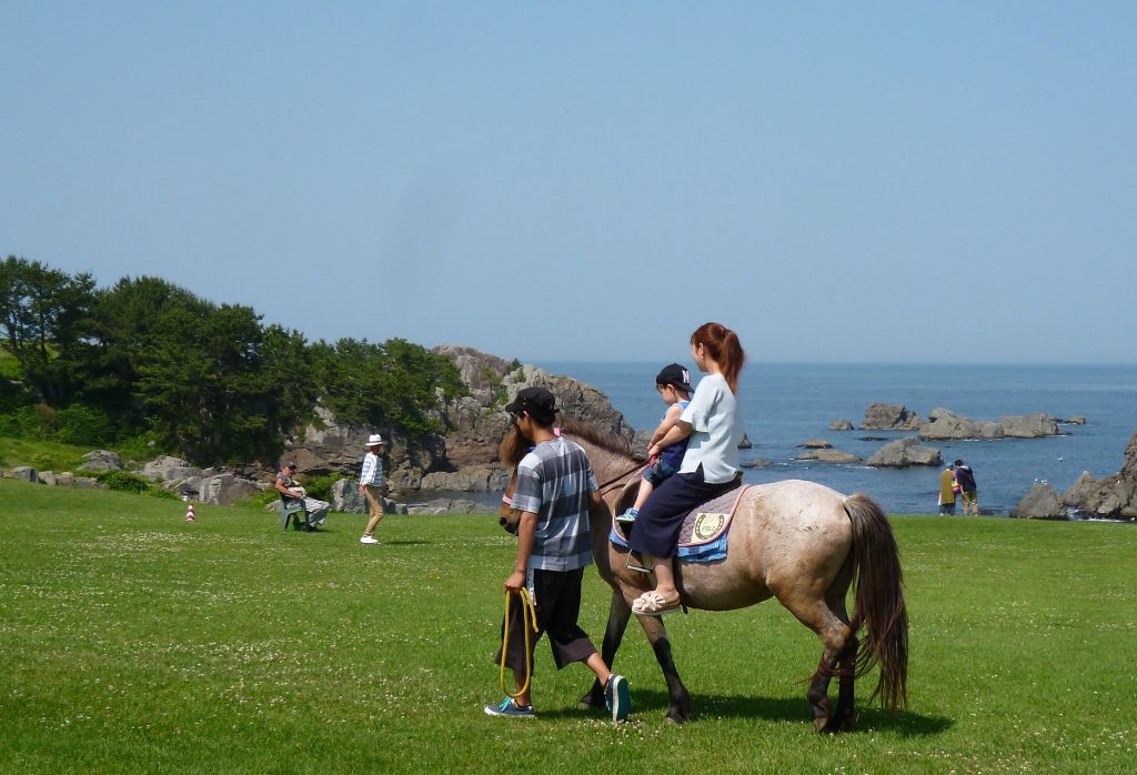 Guided Horseback Riding on the Tanesashi Coast