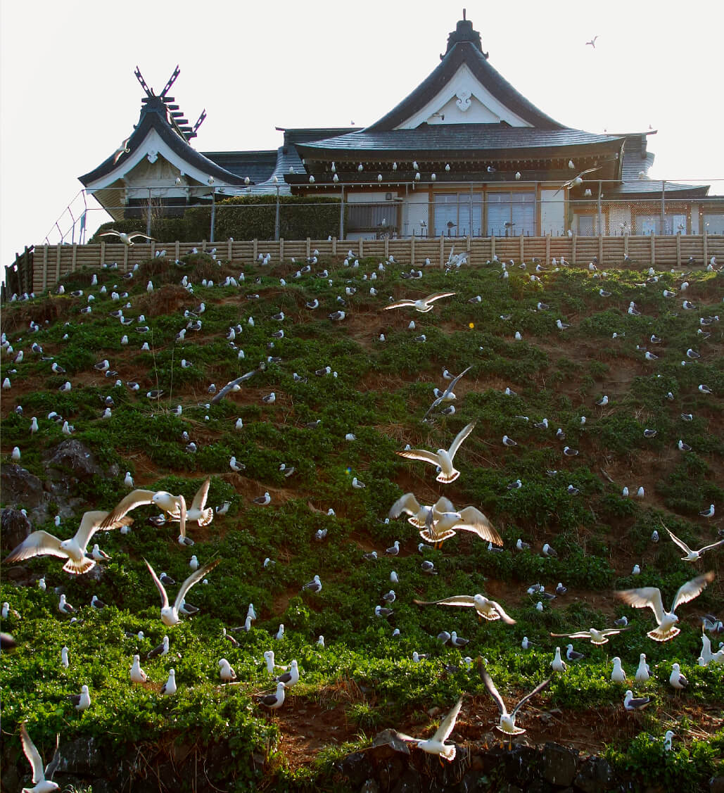 三戸町 VISIT HACHINOHE VISITはちのへ観光物産サイト