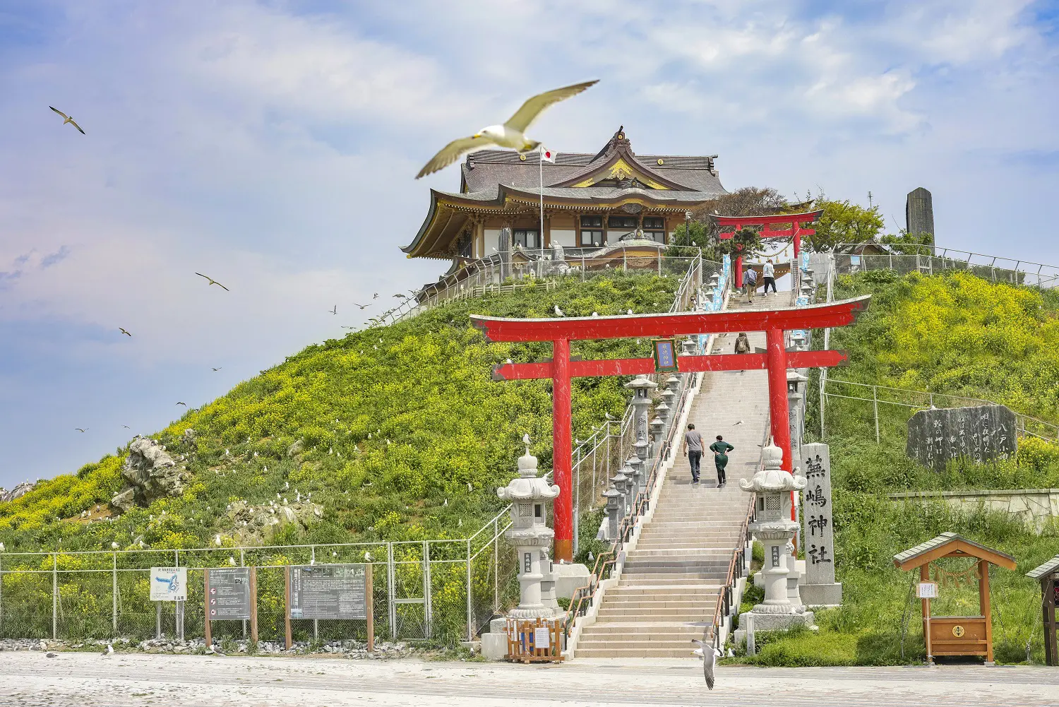 蕪島・蕪嶋神社