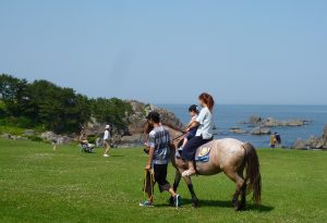 天然芝生地でのんびり乗馬体験in種差海岸