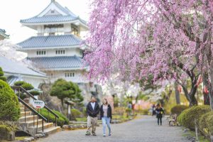 国史跡指定記念！国史跡三戸城跡城山公園スタンプラリー