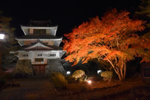 三戸城跡 国史跡指定記念秋の城山公園ライトアップ