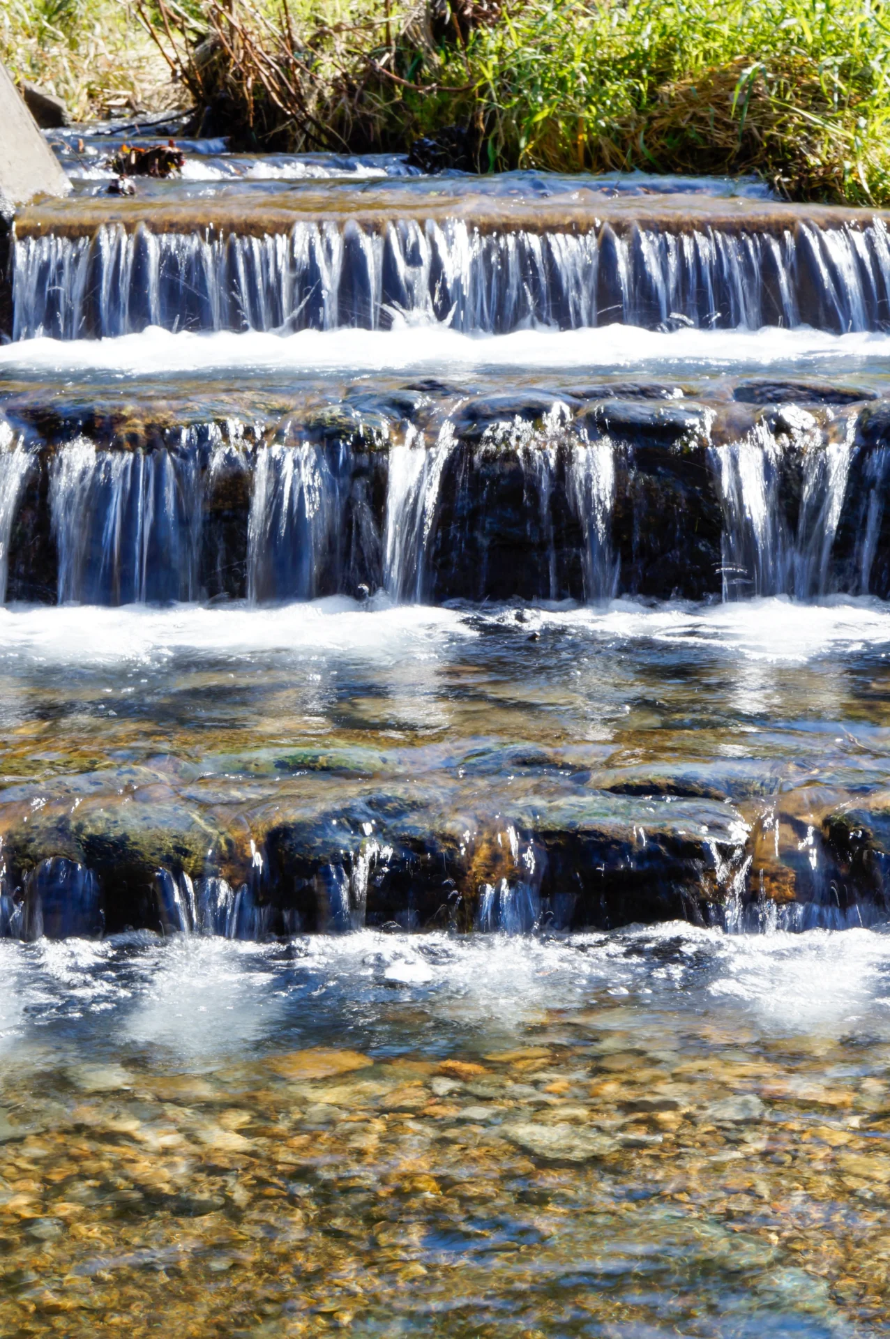 酒造りで使う蟹沢地区の水